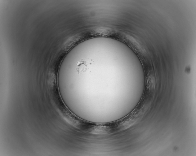 X0000100960459200807081245