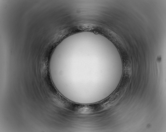 X0000100960460200807081245