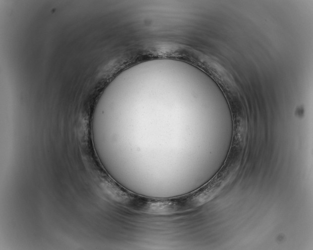 X0000100960461200807081245