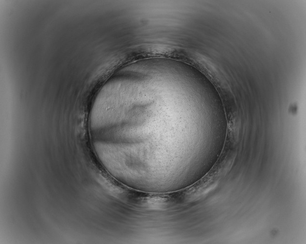 X0000100960462200807081246