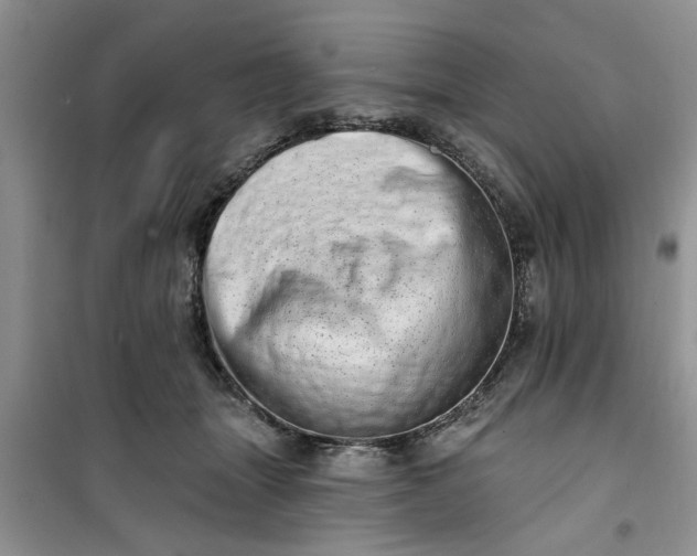 X0000100960463200807081246