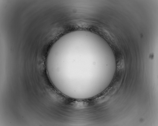 X0000100960464200807081246