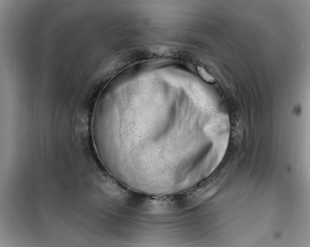 X0000100960466200807081246