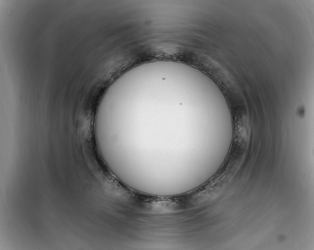 X0000100960468200807081246