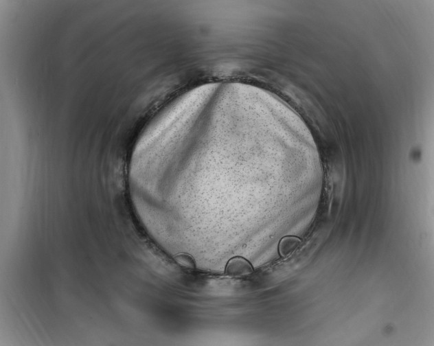 X0000100960470200807081246