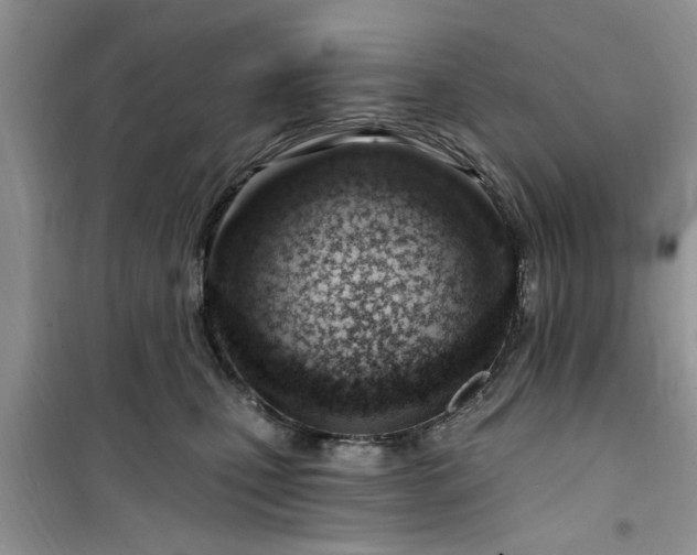 X0000100960471200807081246