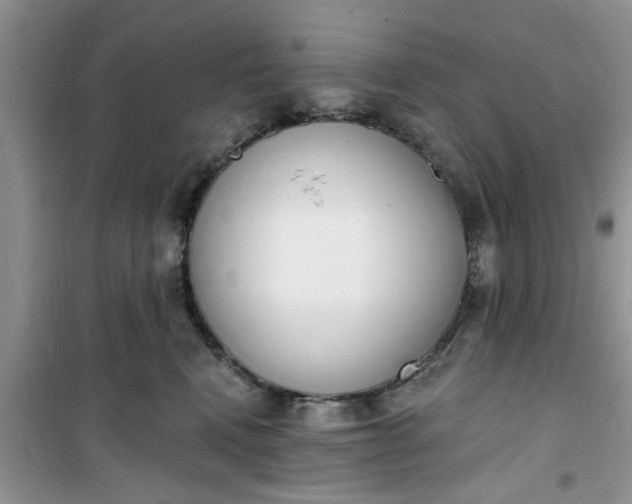 X0000100960472200807081246