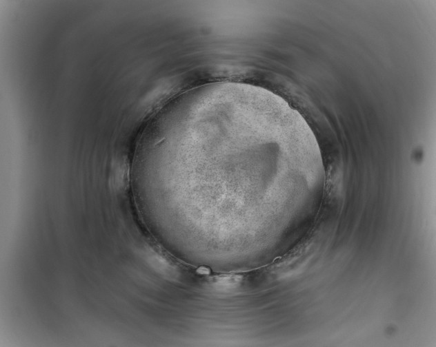 X0000100960474200807081246