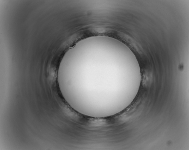 X0000100960476200807081246