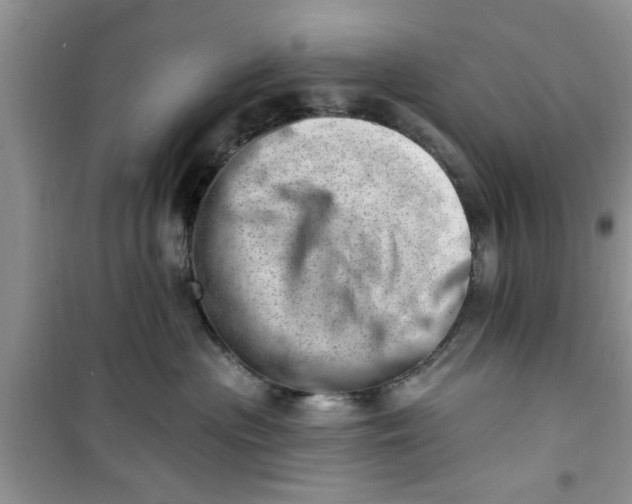 X0000100960477200807081246