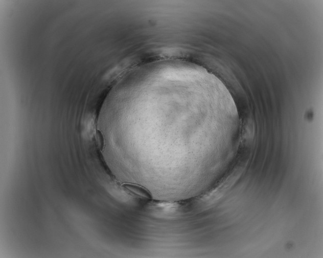 X0000100960478200807081246