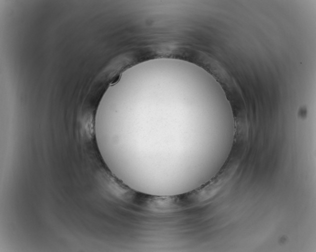 X0000100960479200807081246