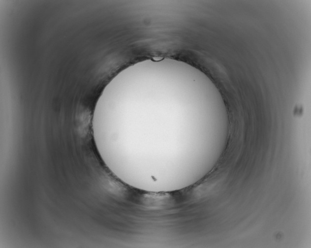 X0000100960480200807081246