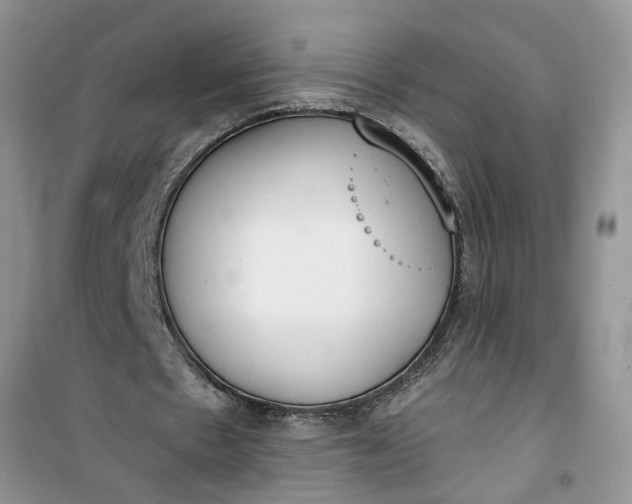 X0000100960481200807081245