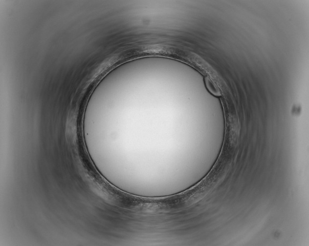 X0000100960482200807081245