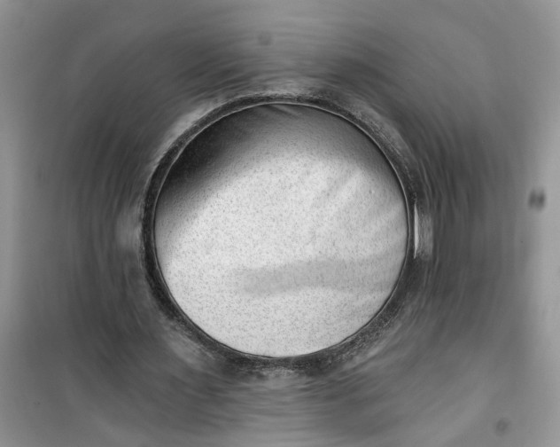 X0000100960483200807081245