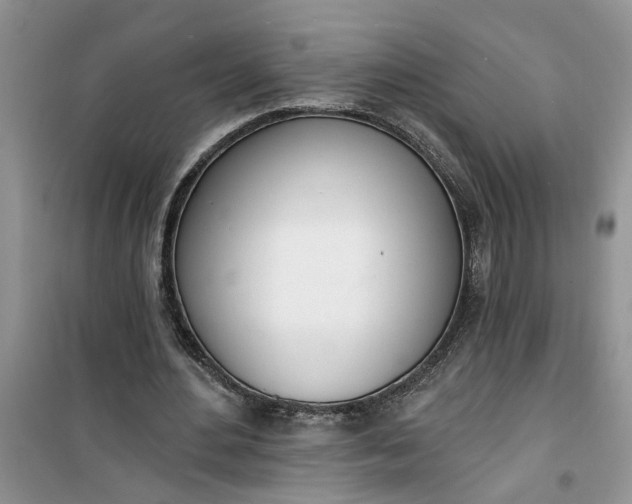 X0000100960484200807081245