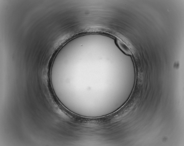 X0000100960485200807081245