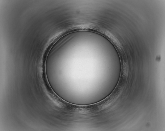 X0000100960486200807081245