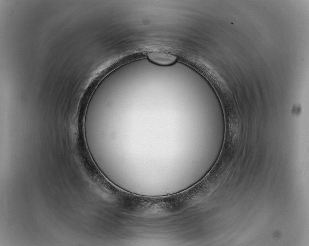 X0000100960488200807081245