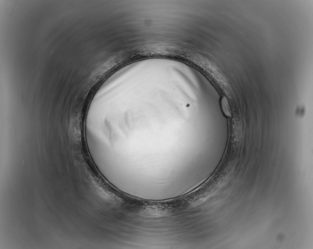 X0000100960489200807081245