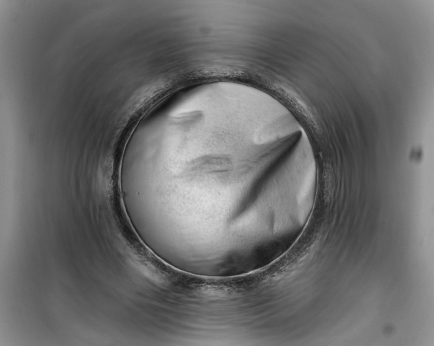 X0000100960490200807081245