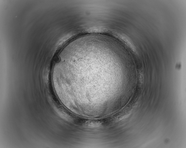 X0000100960491200807081245