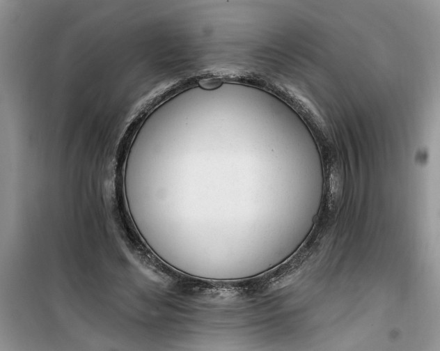 X0000100960492200807081245