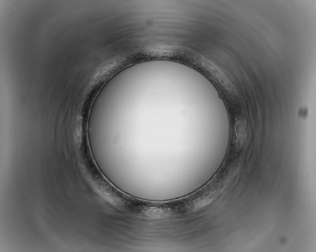 X0000100960494200807081245