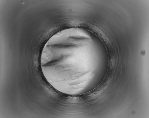 X0000100960497200807081245