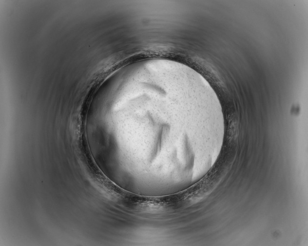 X0000100960498200807081245