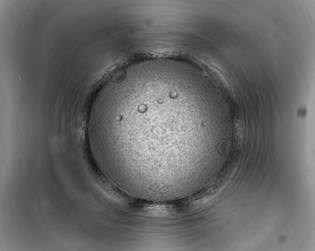 X0000100960499200807081245