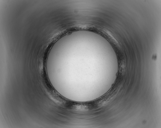 X0000100960500200807081245