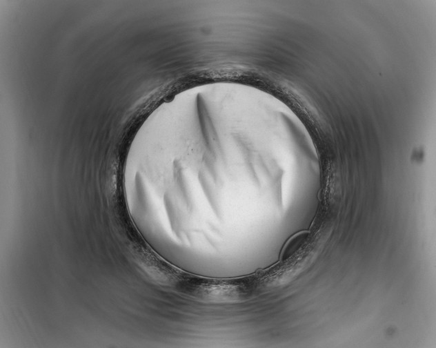 X0000100960501200807081245