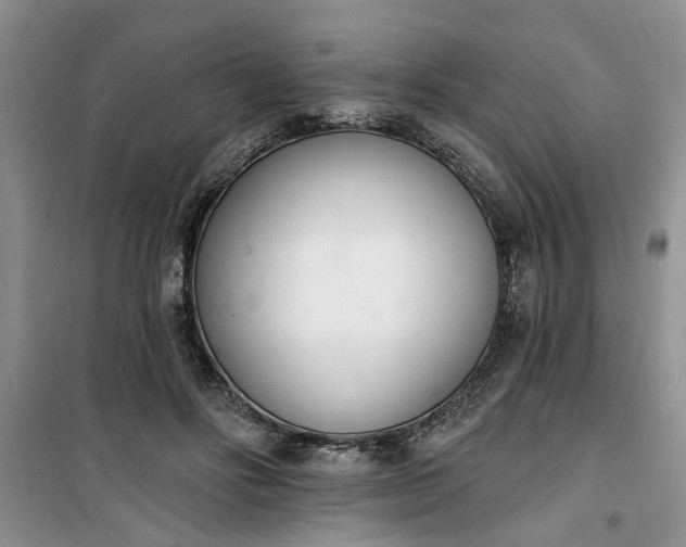 X0000100960502200807081245