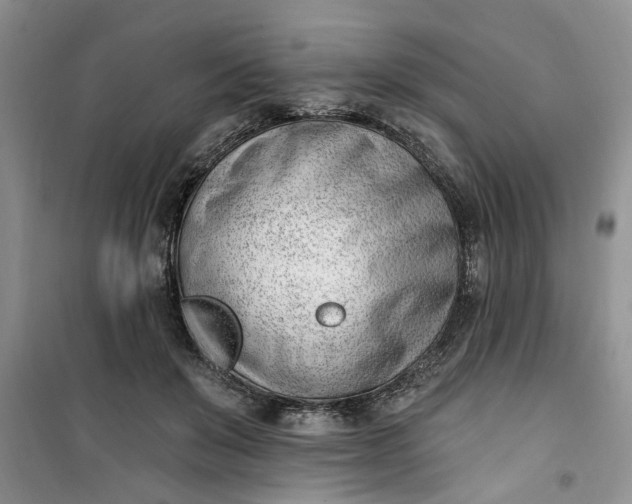 X0000100960503200807081245