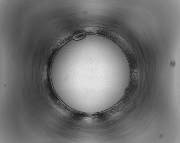 X0000100960504200807081245