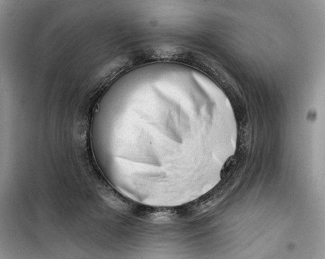 X0000100960505200807081245