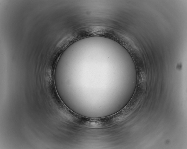 X0000100960506200807081245