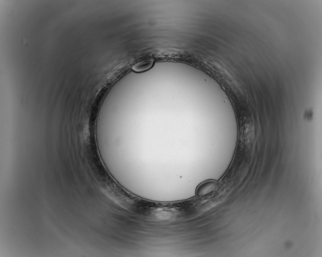 X0000100960508200807081245