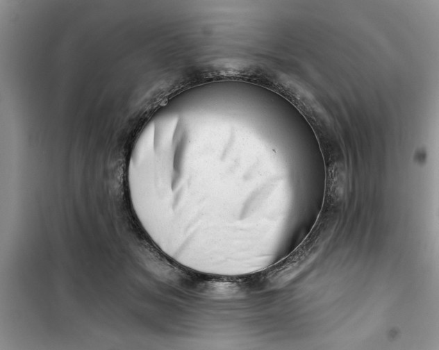 X0000100960509200807081245