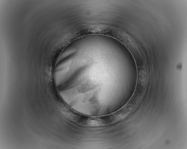 X0000100960510200807081245