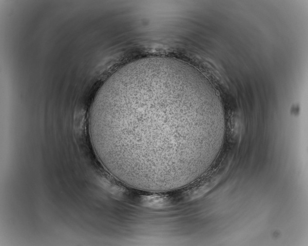 X0000100960511200807081245