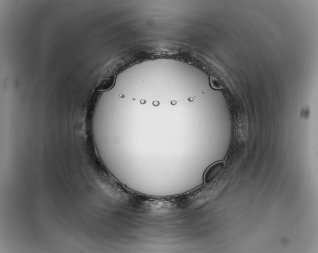 X0000100960512200807081245