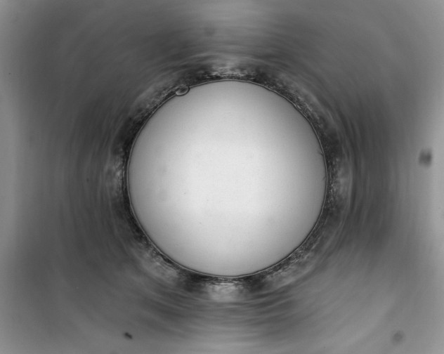 X0000100960513200807081245