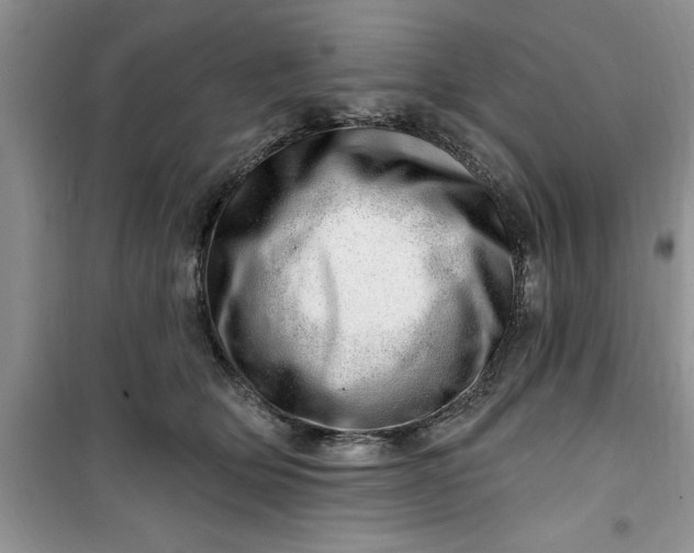 X0000100960514200807081245