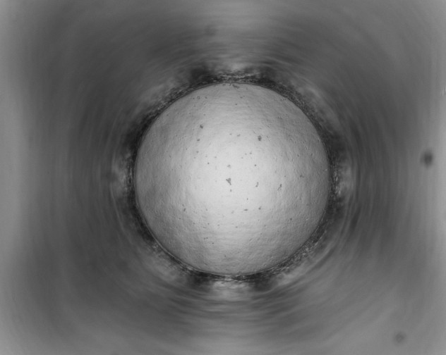 X0000100960515200807081245