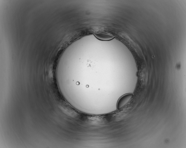 X0000100960516200807081245