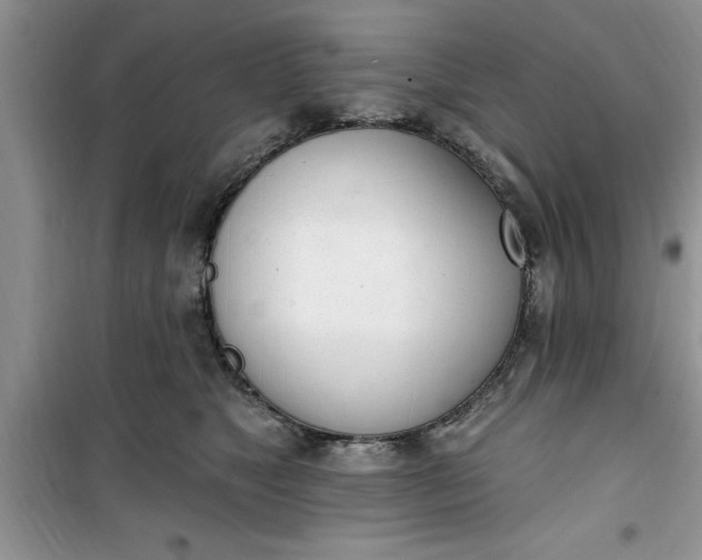 X0000100960517200807081245