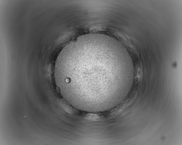 X0000100960519200807081245